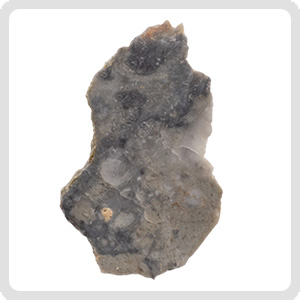 NWA 15482 Lunar Meteorite