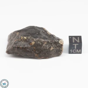 UNWA Meteorite Stone 38.4g