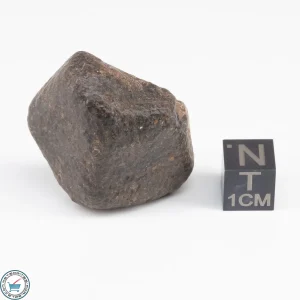 UNWA Meteorite Stone 29.5g