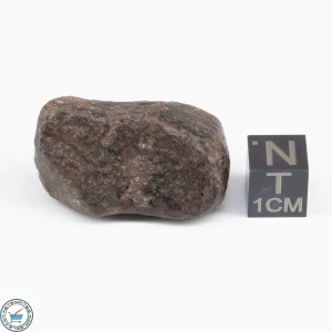 UNWA Meteorite Stone 23.1g