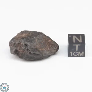 UNWA Meteorite Stone 13.3g