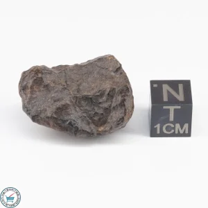 UNWA Meteorite Stone 14.6g