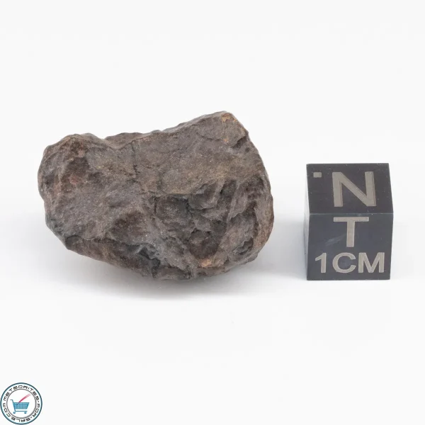 UNWA Meteorite Stone 14.6g