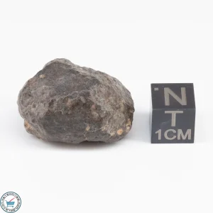 UNWA Meteorite Stone 17.0g