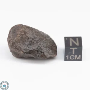 UNWA Meteorite Stone 14.6g