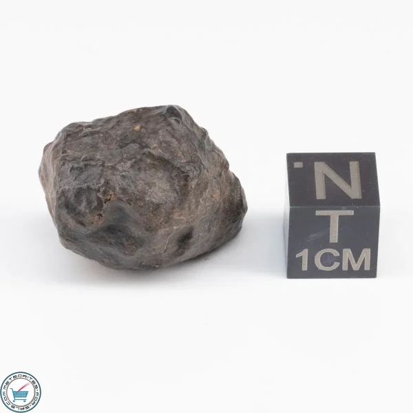 UNWA Meteorite Stone 10.9g