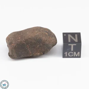 UNWA Meteorite Stone 12.9g