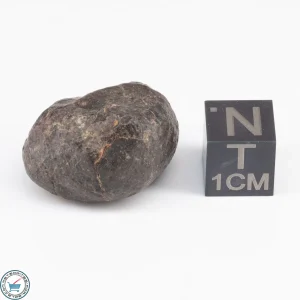 UNWA Meteorite Stone 12.1g