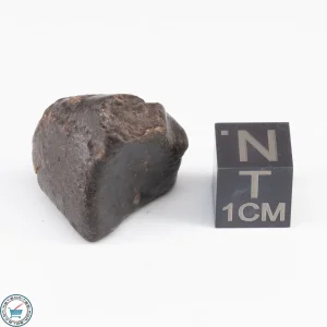 UNWA Meteorite Stone 9.8g