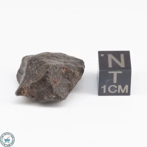 UNWA Meteorite Stone 8.9g