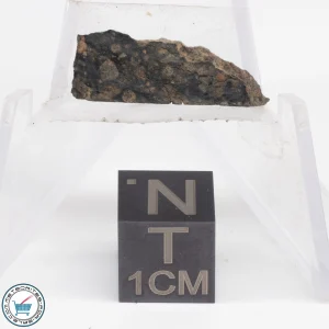 NWA 12322 Meteorite 0.60g