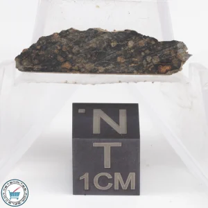 NWA 12322 Meteorite 0.54g