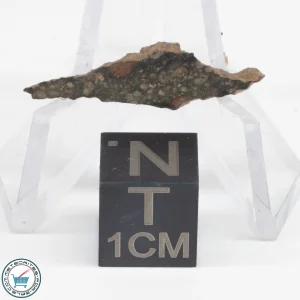 NWA 12322 Meteorite 0.55g