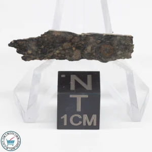 NWA 12322 Meteorite 0.77g