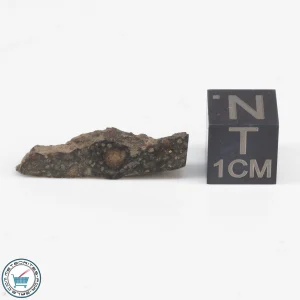 NWA 12322 Meteorite 1.24g