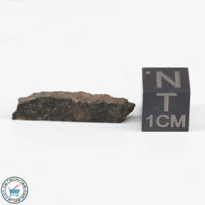 NWA 12322 Meteorite 1.11g