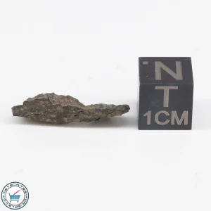 NWA 12322 Meteorite 0.82g