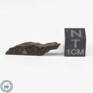 NWA 12322 Meteorite 0.88g