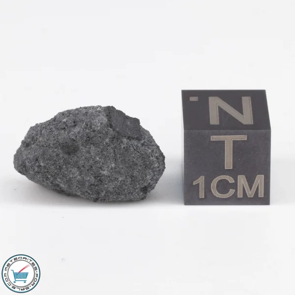 NWA 12925 Meteorite 2.31g
