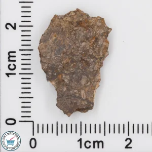 NWA 4799 EH-melt rock Meteorite 1.31g