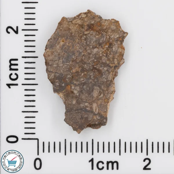 NWA 4799 EH-melt rock Meteorite 1.31g