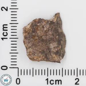 NWA 4799 EH-melt rock Meteorite 1.10g