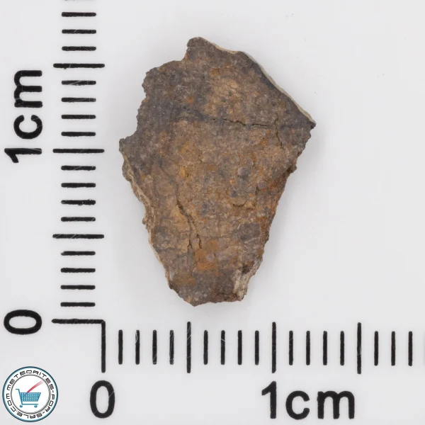 NWA 4799 EH-melt rock Meteorite 0.53g