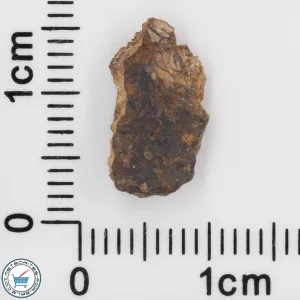 NWA 4799 EH-melt rock Meteorite 0.48g