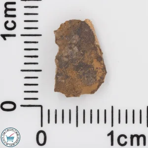 NWA 4799 EH-melt rock Meteorite 0.30g