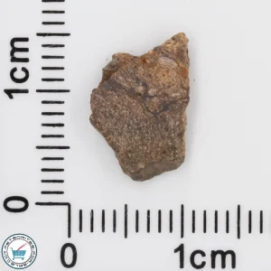 NWA 4799 EH-melt rock Meteorite 0.37g