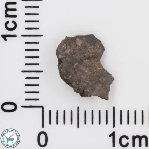 NWA 4799 EH-melt rock Meteorite 0.19g