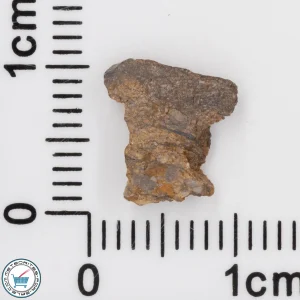 NWA 4799 EH-melt rock Meteorite 0.22g