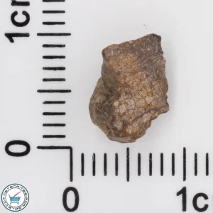 NWA 4799 EH-melt rock Meteorite 0.41g