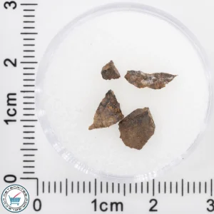 NWA 4799 EH-melt rock Meteorite 0.25g