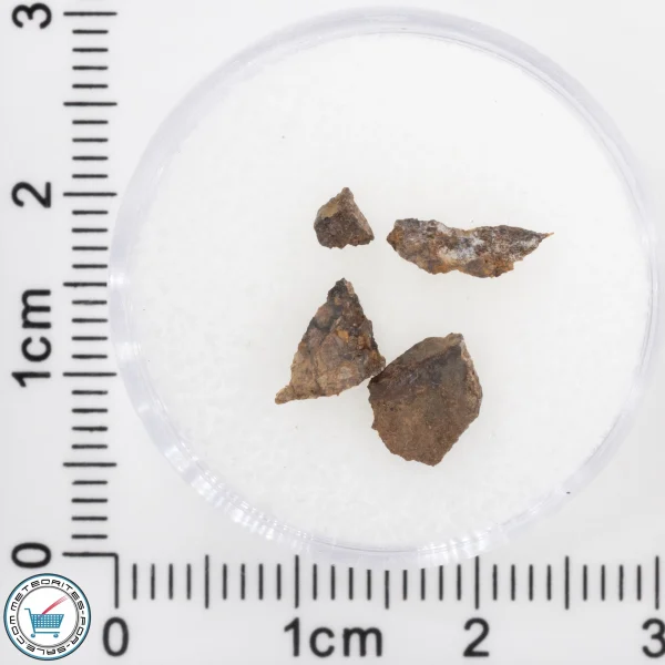 NWA 4799 EH-melt rock Meteorite 0.25g