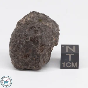 NWA 869 Meteorite 28.3g