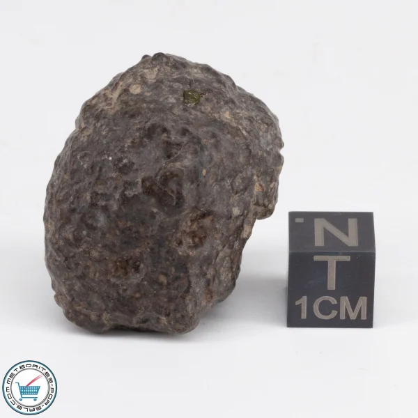 NWA 869 Meteorite 28.3g