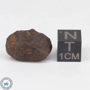 Agoudal Meteorite 7.5g