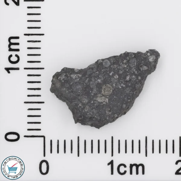 Allende Meteorite 0.61g Slice