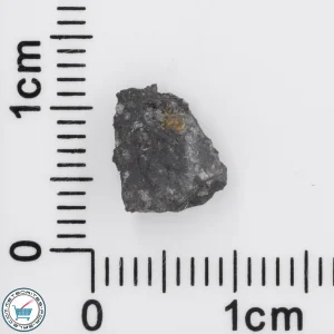 Allende Meteorite 0.37g Individual