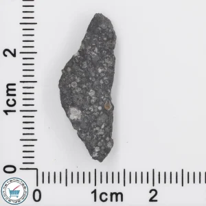 Allende Meteorite 1.23g Slice