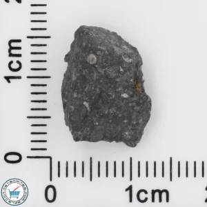 Allende Meteorite 1.46g