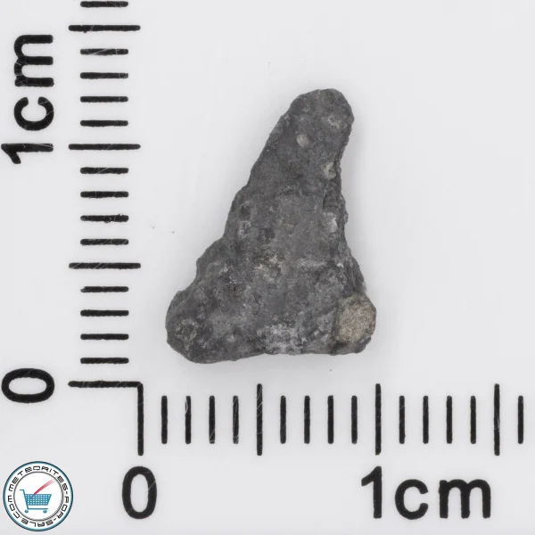 Allende Meteorite 0.34g End-Cut