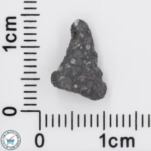 Allende Meteorite 0.34g End-Cut