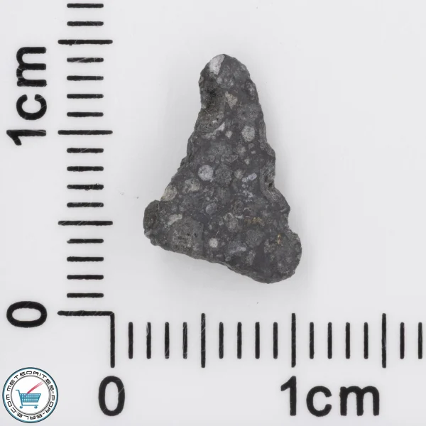 Allende Meteorite 0.34g End-Cut