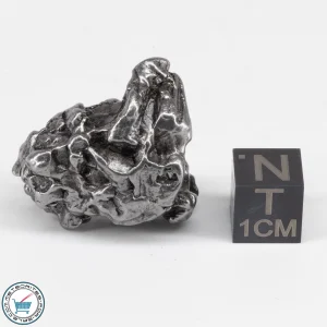 Campo del Cielo Meteorite Crystal 30.1g