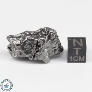 Campo del Cielo Meteorite Crystal 23.2g