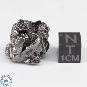 Campo del Cielo Meteorite Crystal 21.6g