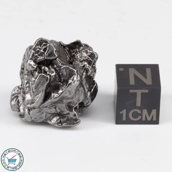 Campo del Cielo Meteorite Crystal 21.6g