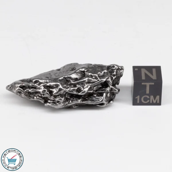 Campo del Cielo Meteorite Crystal 27.7g